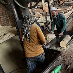 Saw Milling of Logs at Sawmill.